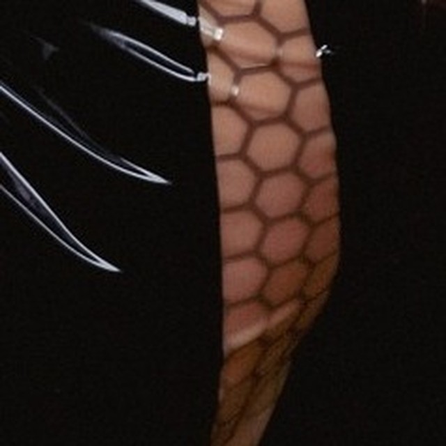 Muster Honeycomb, Ausschnitt vom dress eve deluxe